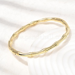 Bamboo Brass Hinged Bangles for Women&nbsp;BJEW-H639-05B-G