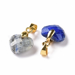 Natural Lapis Lazuli Pendants&nbsp;G-C023-07G