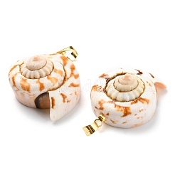 Natural Spiral Shell Red Lip Shell Pendants&nbsp;SSHEL-R145-06