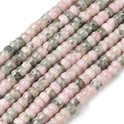 Natural Rhodonite Beads Strands&nbsp;G-A299-A24-01
