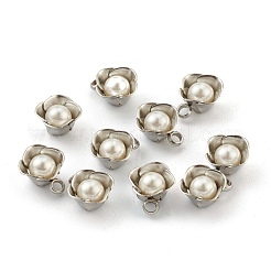 304 Stainless Steel Pendants&nbsp;STAS-Z009-06P