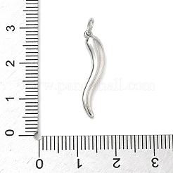 304 Stainless Steel Pendants&nbsp;STAS-D207-21P