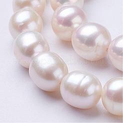 Natural Cultured Freshwater Pearl Beads Strands&nbsp;PEAR-P002-09