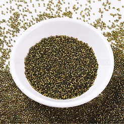 MIYUKI Delica Beads&nbsp;SEED-JP0008-DB0604