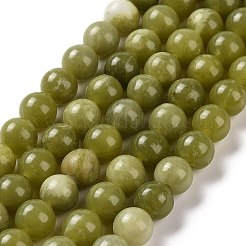 Natural Chinese Southern Jade Beads Strands&nbsp;X-G-T055-8mm-15