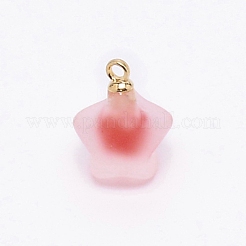 Resin Frosted Pendants&nbsp;MP-TAC0009-03E