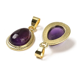 Natural Amethyst Pendants&nbsp;G-M405-05G-01