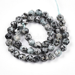 Dyed Natural Sesame Jasper Beads Strands&nbsp;G-T139-8mm-47J