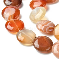 Flat Round Gemstone Natural Red Agate Stone Beads Strands&nbsp;X-G-S110-03