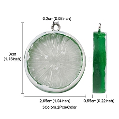 6Pcs 3 Colors Flat Round Resin Fruit Pendants&nbsp;RESI-YW0001-44