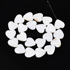 Natural Freshwater Shell Beads Strands&nbsp;SHEL-T020-31