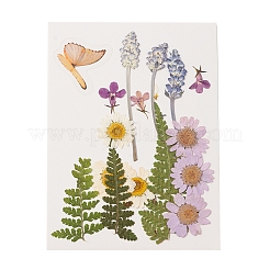 Pressed Dried Flowers&nbsp;DIY-YWC0001-94