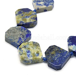 Natural Lapis Lazuli Beads Strands&nbsp;G-G106-E04-01
