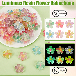 60Pcs 6 Colors Luminous Resin Cabochons&nbsp;RESI-GA0001-30-1