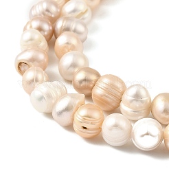 Natural Cultured Freshwater Pearl Beads Strands&nbsp;PEAR-B004-13A-01A