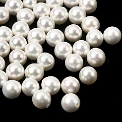 Electroplated Shell Pearl Beads&nbsp;BSHE-B008-05A-6mm