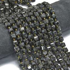 Natural Larvikite Beads Strands&nbsp;G-K389-A31-01