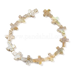Drawbench Style Natural Freshwater Shell Beads Strands&nbsp;BSHE-G036-01