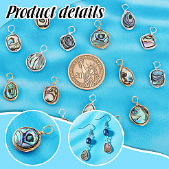 16Pcs 8 Styles Natural Abalone Shell/Paua Shell Pendants&nbsp;FIND-PH0008-89