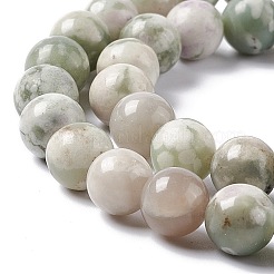 Natural Peace Jade Beads Strands&nbsp;X-G-G905-07