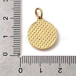 304 Stainless Steel Pendants&nbsp;STAS-B094-12G