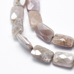 Electroplate Natural Sunstone Beads Strands&nbsp;G-K256-19A-02