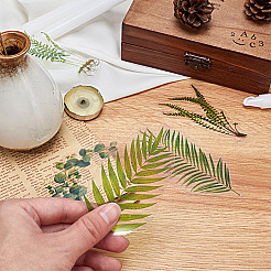 Waterproof Self Adhesive Stamping Stickers Sets&nbsp;DIY-CP0001-60A