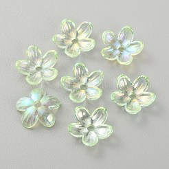 Transparent Acrylic Beads&nbsp;MACR-CJC0004-05C