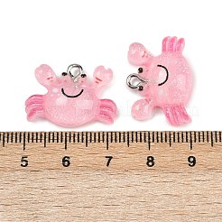 Transparent Resin Pendants&nbsp;RESI-F058-01B