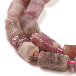 Natural Plum Blossom Tourmaline Beads Strands&nbsp;G-M403-B25