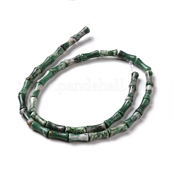 Natural Tree Agate Beads Strands&nbsp;G-C245-13