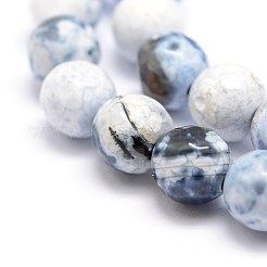 Faceted Natural Fire Crackle Agate Beads Strands&nbsp;G-F447-8mm-B09