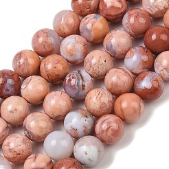 Natural Pink Agate Beads Strands&nbsp;G-K350-C02-10mm