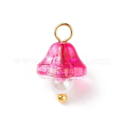 Electroplate Glass Charms&nbsp;PALLOY-JF01737-01