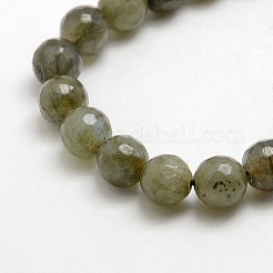 Natural Gemstone Labradorite Faceted Round Bead Strands&nbsp;G-O021-14mm-01