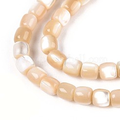 Natural Trochid Shell/Trochus Shell Beads Strands&nbsp;SSHEL-N040-12