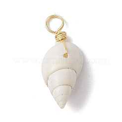 Spiral Shell Pendants&nbsp;PALLOY-JF02492-01