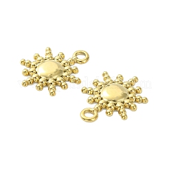 304 Stainless Steel Charms&nbsp;STAS-L269-039G