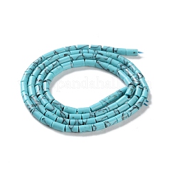 Dyed Synthetic Turquoise Beads Strands&nbsp;G-B124-A01-01
