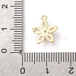 Brass Micro Pave Cubic Zirconia Charms&nbsp;LS-KK-D371-04F-G