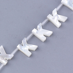 Sea Shell Beads&nbsp;X-SHEL-T012-60K