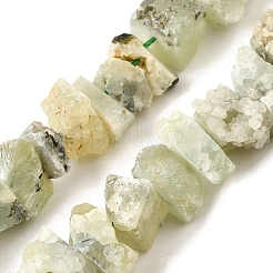 Natural Prehnite Beads Strands&nbsp;G-I283-F11