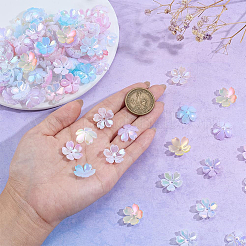 150Pcs 6 Colors Acrylic Imitation Shell Bead Caps&nbsp;SACR-PH0002-36