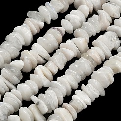 Natural Rainbow Moonstone Beads Strands&nbsp;G-G337-A01-8x10mm