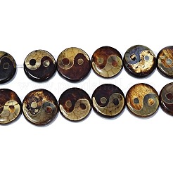 Tibetan Style Yin Yang Pattern dZi Beads Strands&nbsp;TDZI-K003-06A