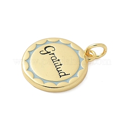 Brass Enamel Pendants&nbsp;KK-P293-09G-02