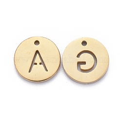 304 Stainless Steel Charms&nbsp;STAS-F227-11-G