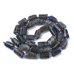 Natural Iolite Beads Strands&nbsp;G-C270-K06