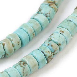 Natural Magnesite Beads Strands&nbsp;G-P398-B01
