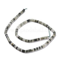 Natural Green Line Jaspe Beads Strands&nbsp;G-P468-12